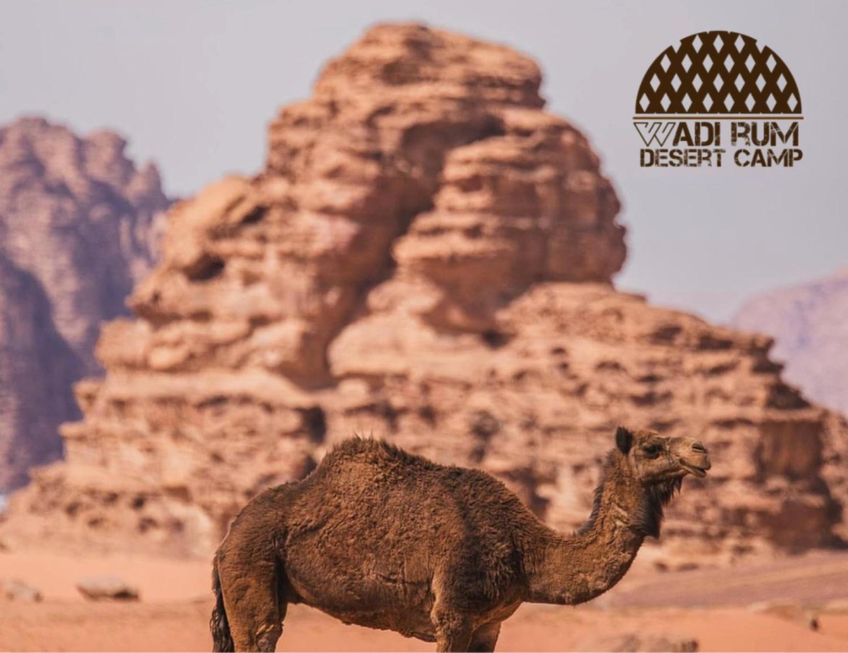 Rum Mere Luxury Camp Wadi Rum Zewnętrze zdjęcie